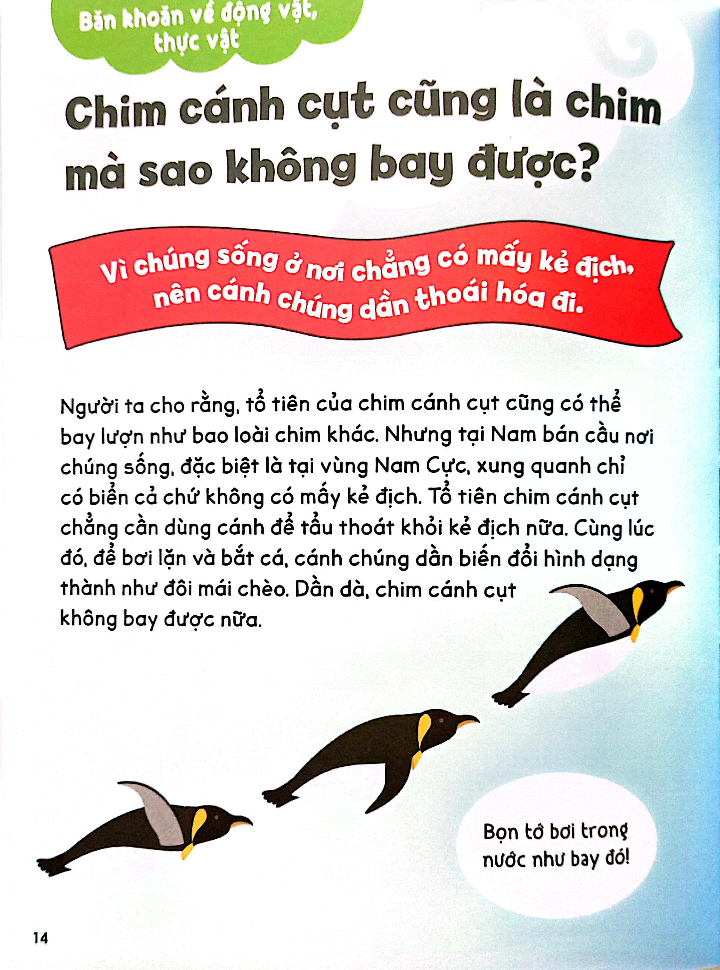 gi gỉ gì gi, cái gì cũng biết - dành cho lớp 3