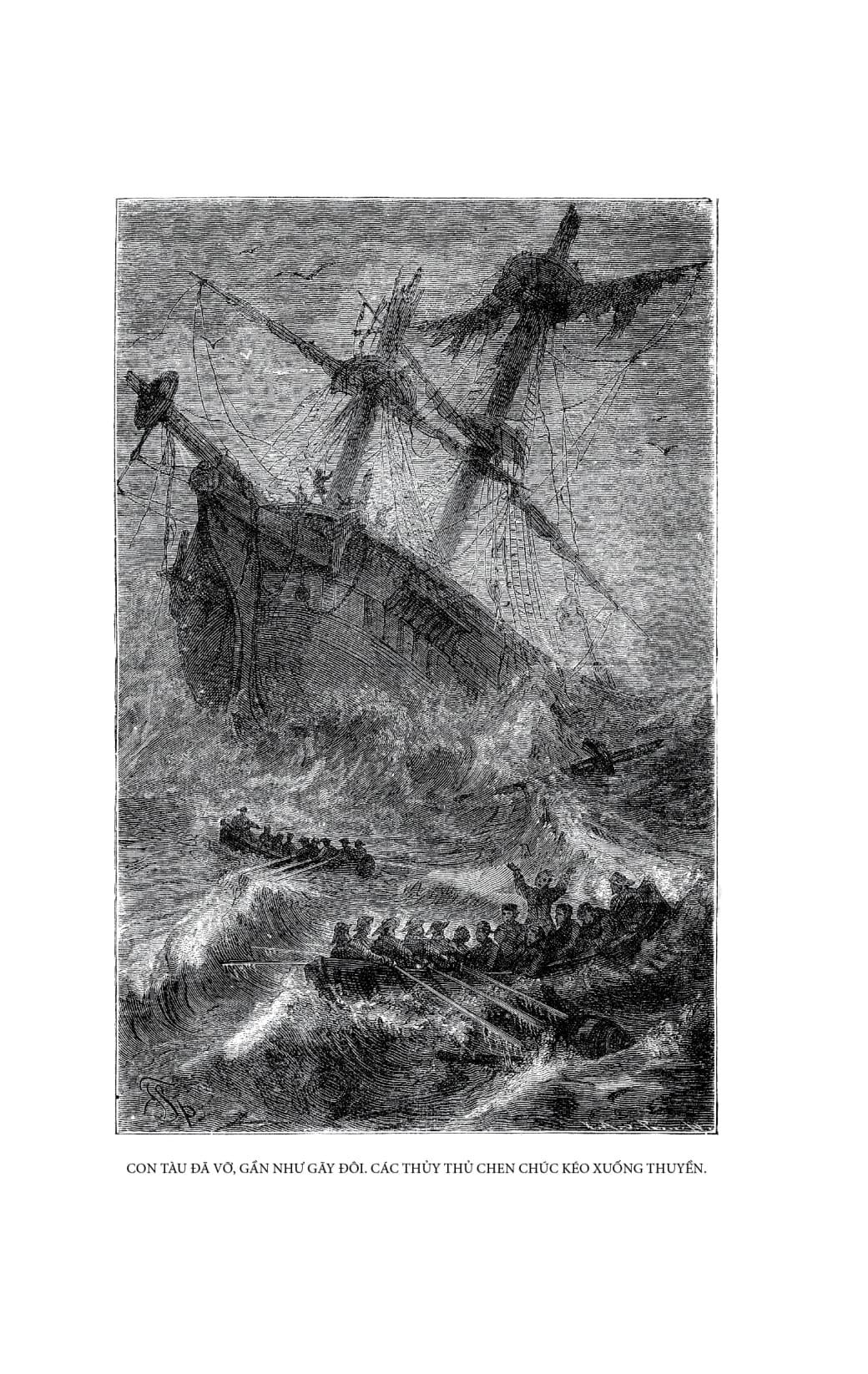 gia đình robinson thụy sỹ - bìa vải