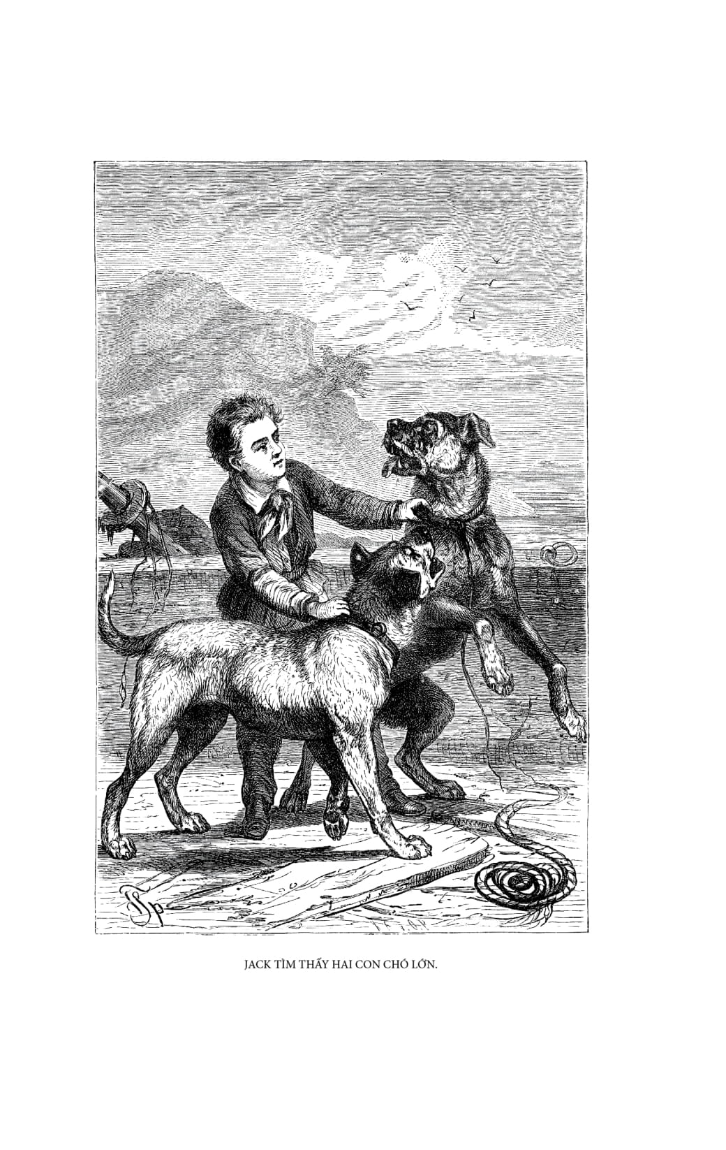 gia đình robinson thụy sỹ - bìa vải