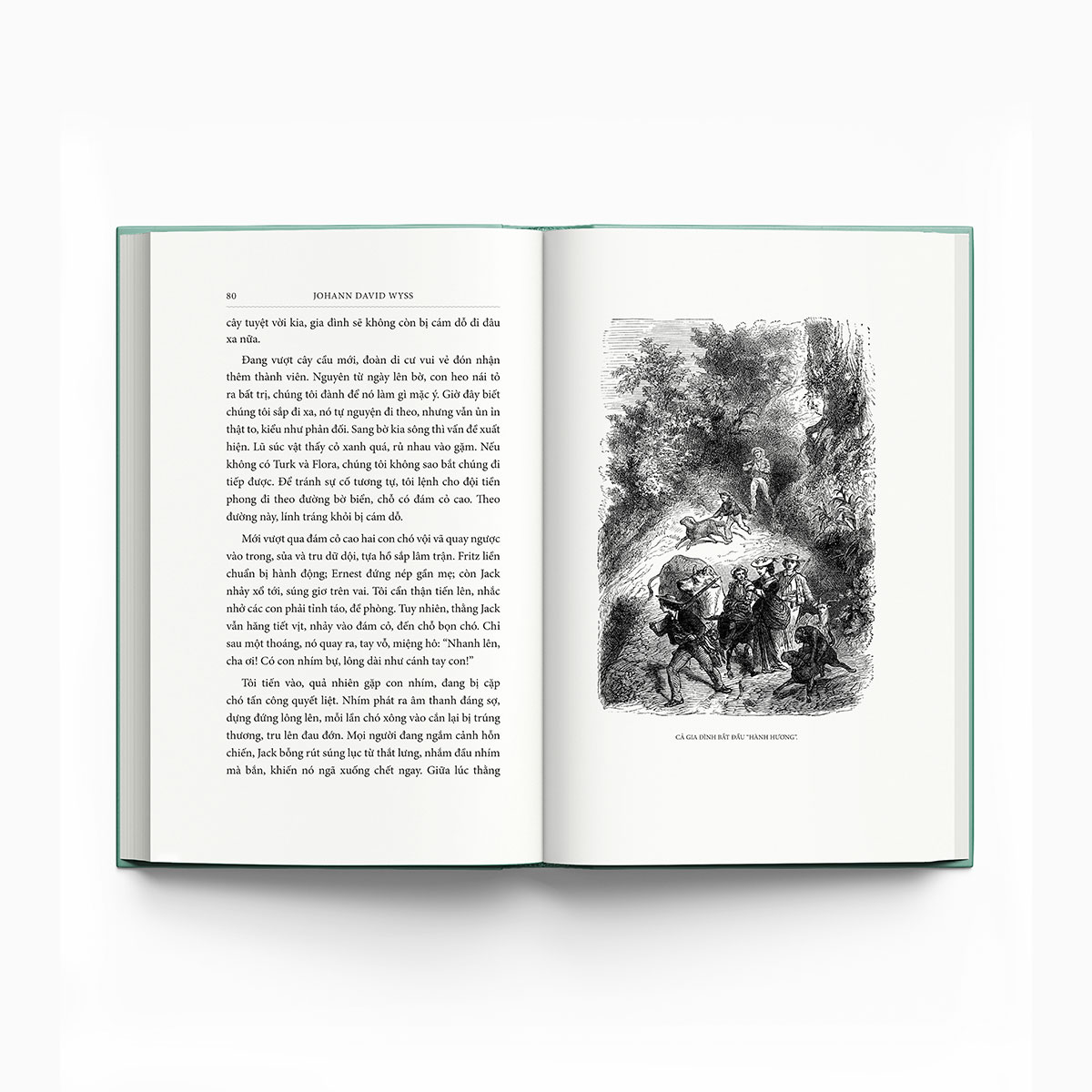 gia đình robinson thụy sỹ - bìa vải