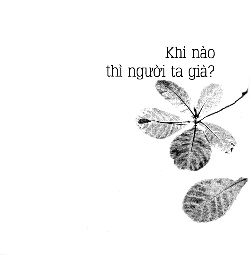 già ơi...chào bạn!