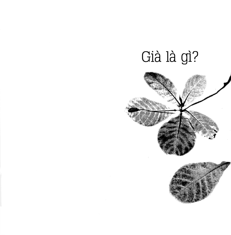 già ơi...chào bạn!