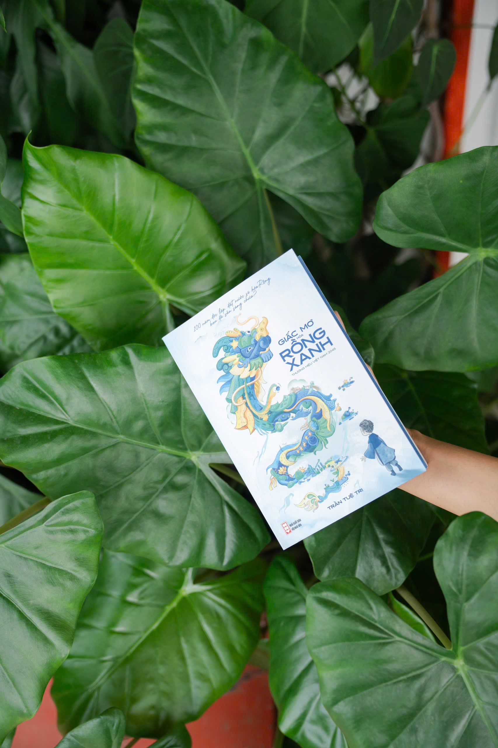 Giấc Mơ Hóa Rồng Xanh