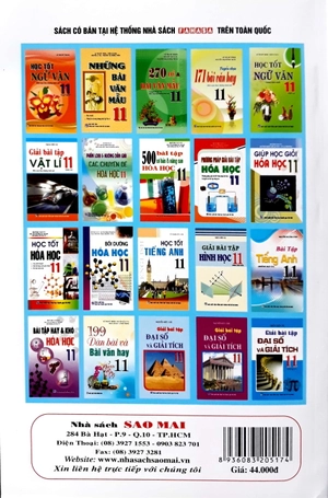 giải bài tập hóa học lớp 11 (nâng cao)