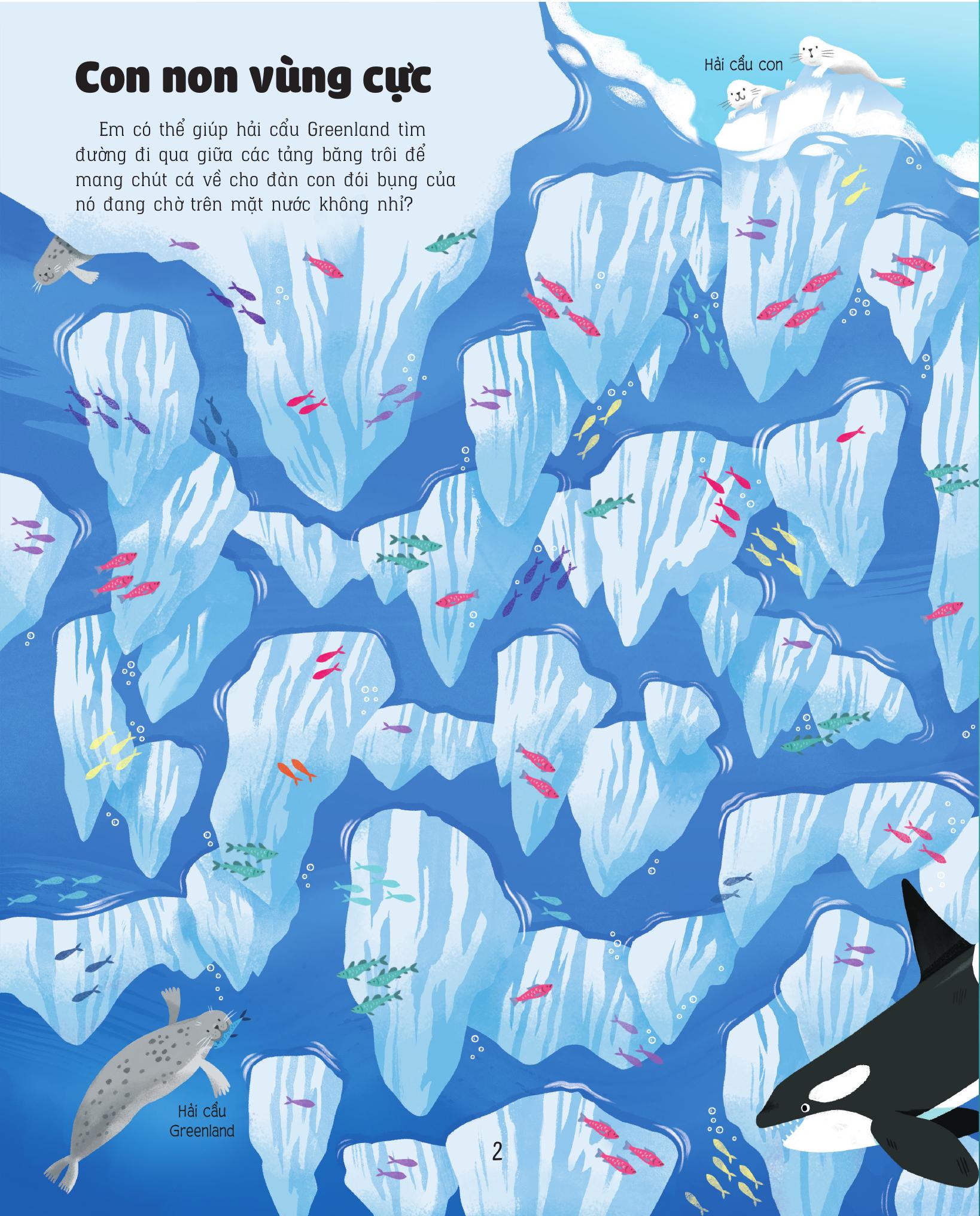 giải mã mê cung - phát triển iq - đại dương