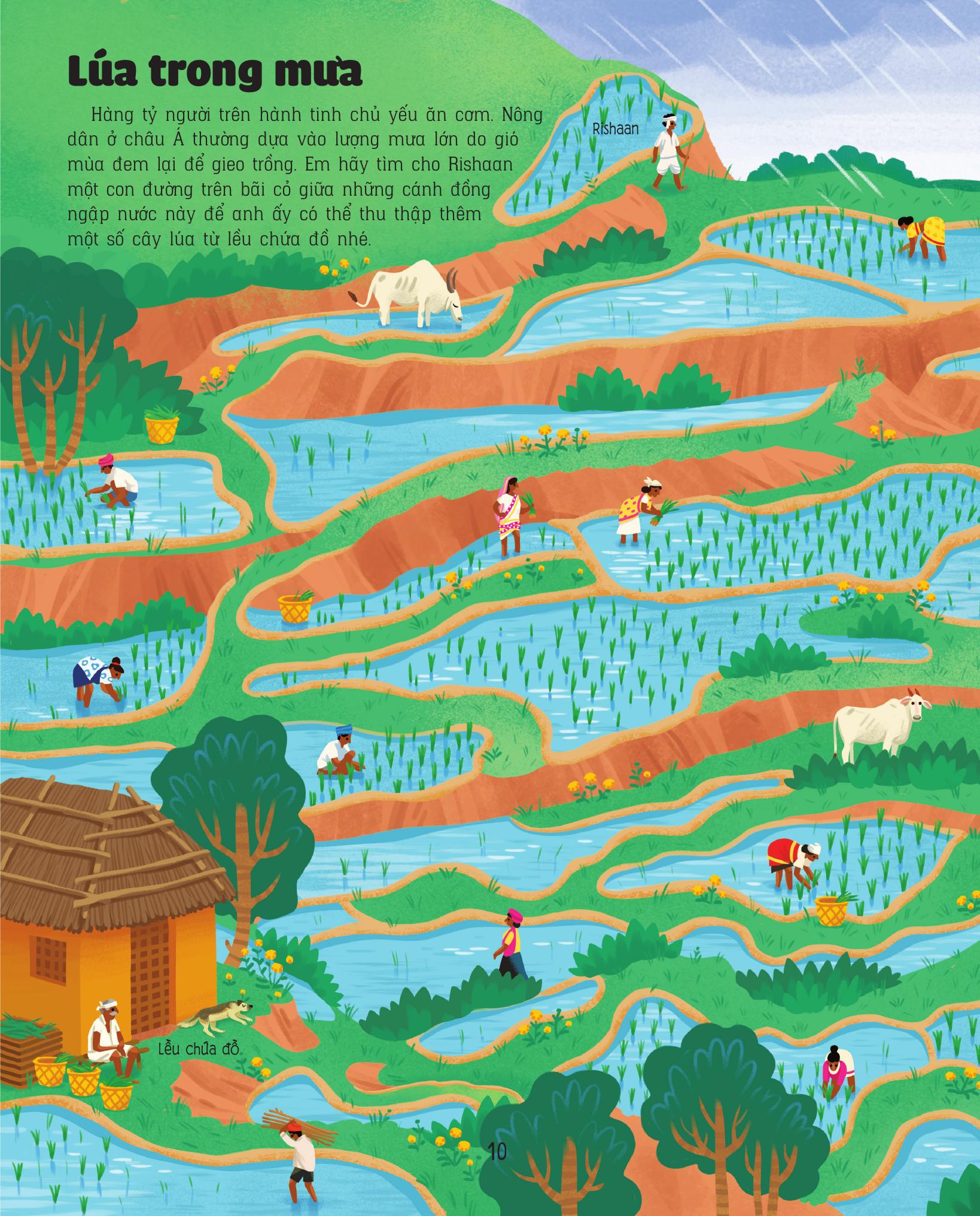 Giai Ma Me Cung - Phat Trien IQ - Trai Dat