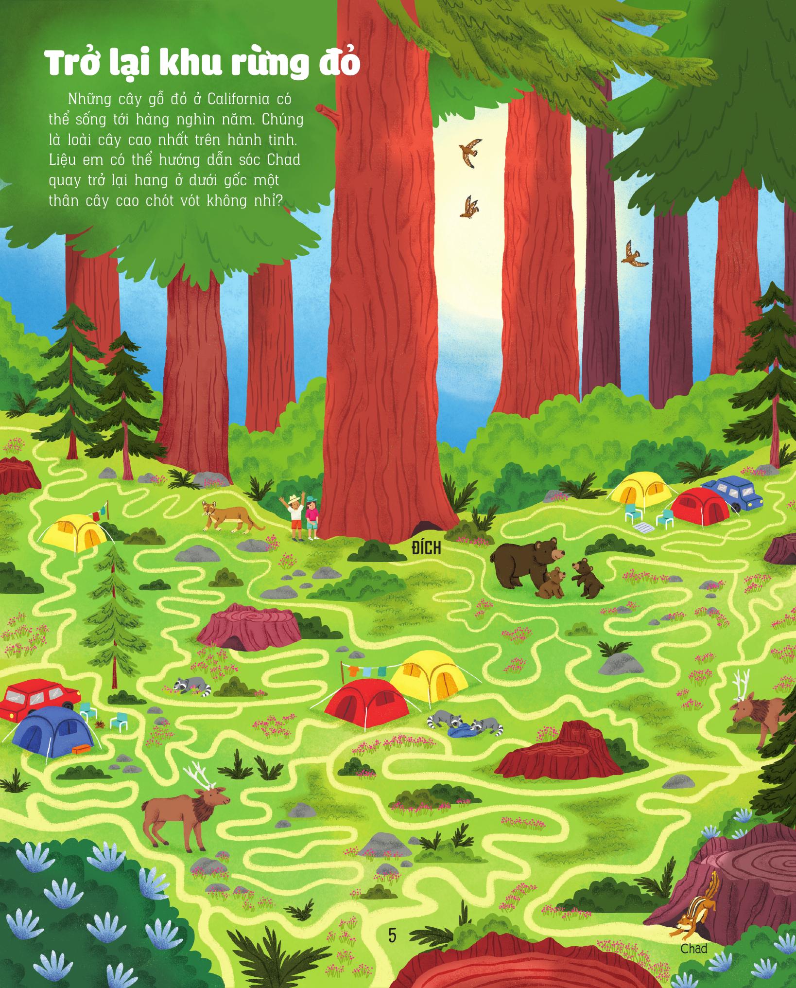 Giai Ma Me Cung - Phat Trien IQ - Trai Dat