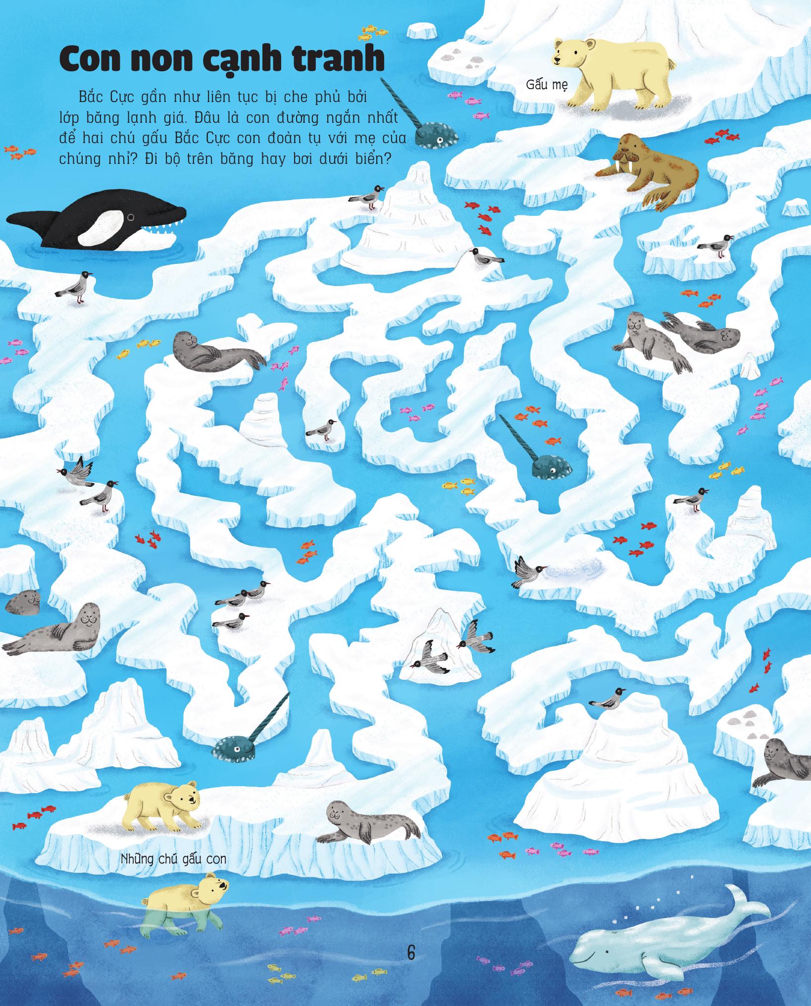 Giai Ma Me Cung - Phat Trien IQ - Trai Dat