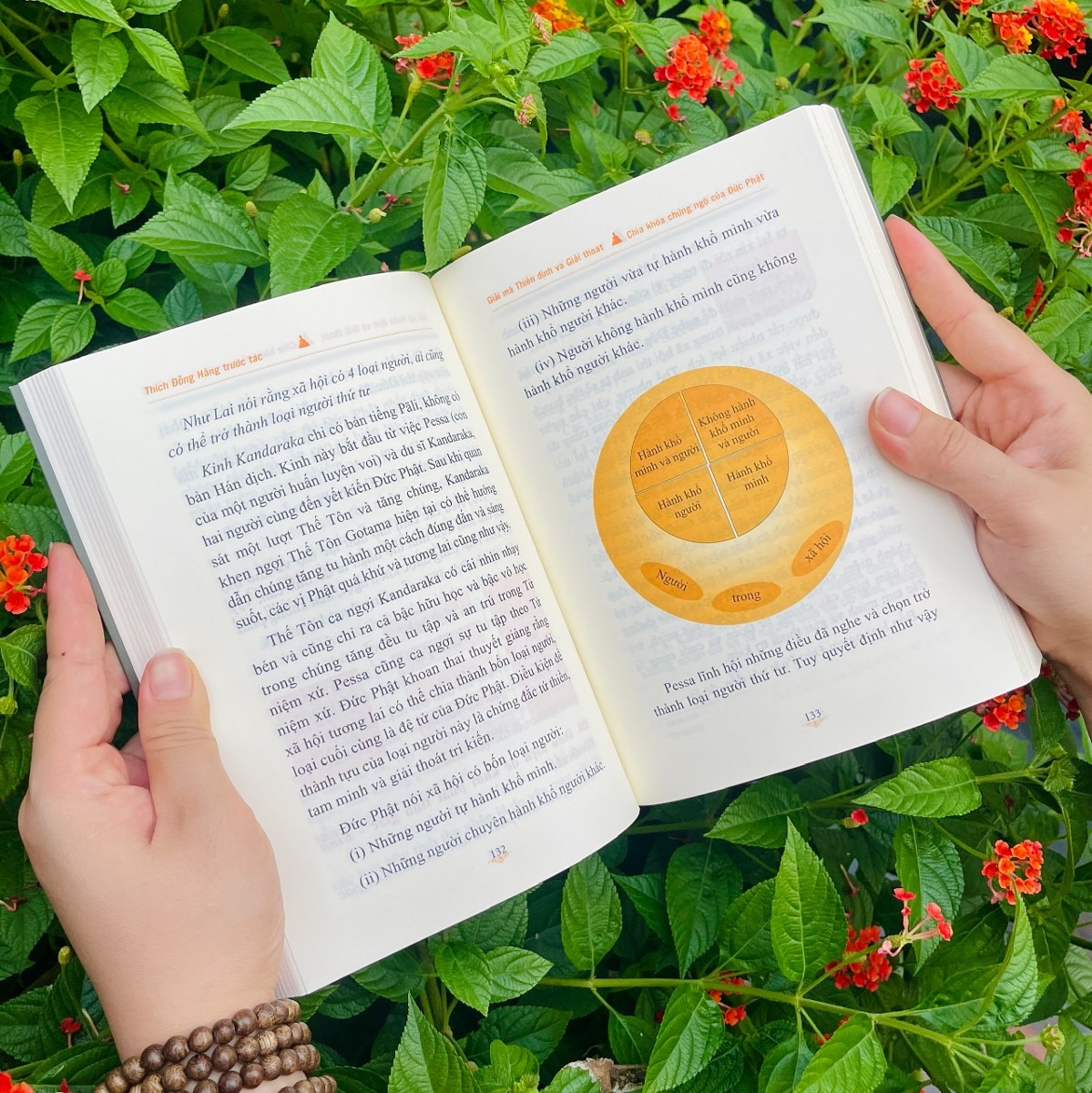 giải mã thiền định và giải thoát