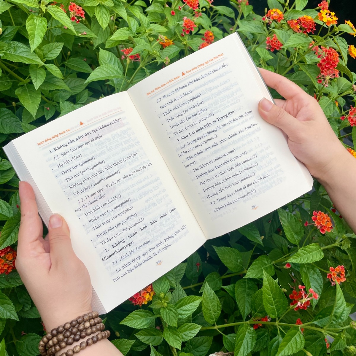 giải mã thiền định và giải thoát