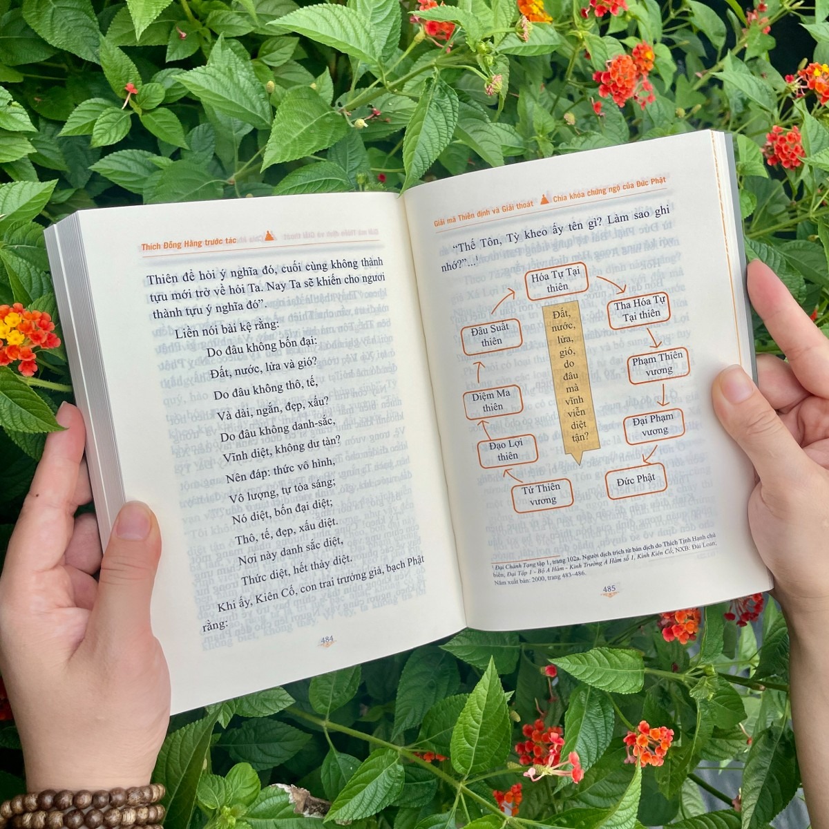 giải mã thiền định và giải thoát