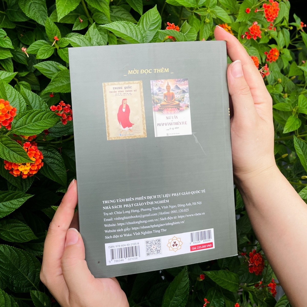 giải mã thiền định và giải thoát