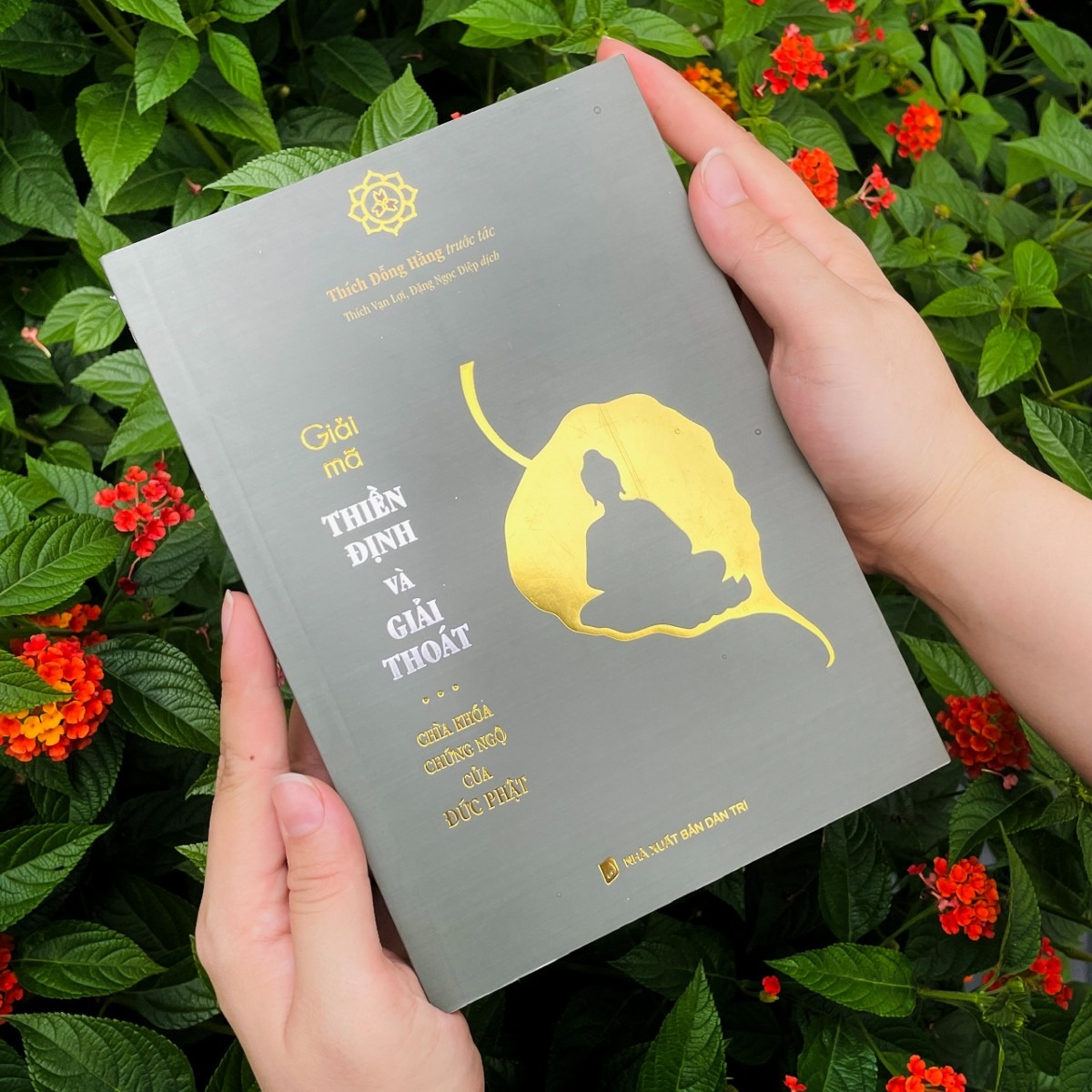 giải mã thiền định và giải thoát