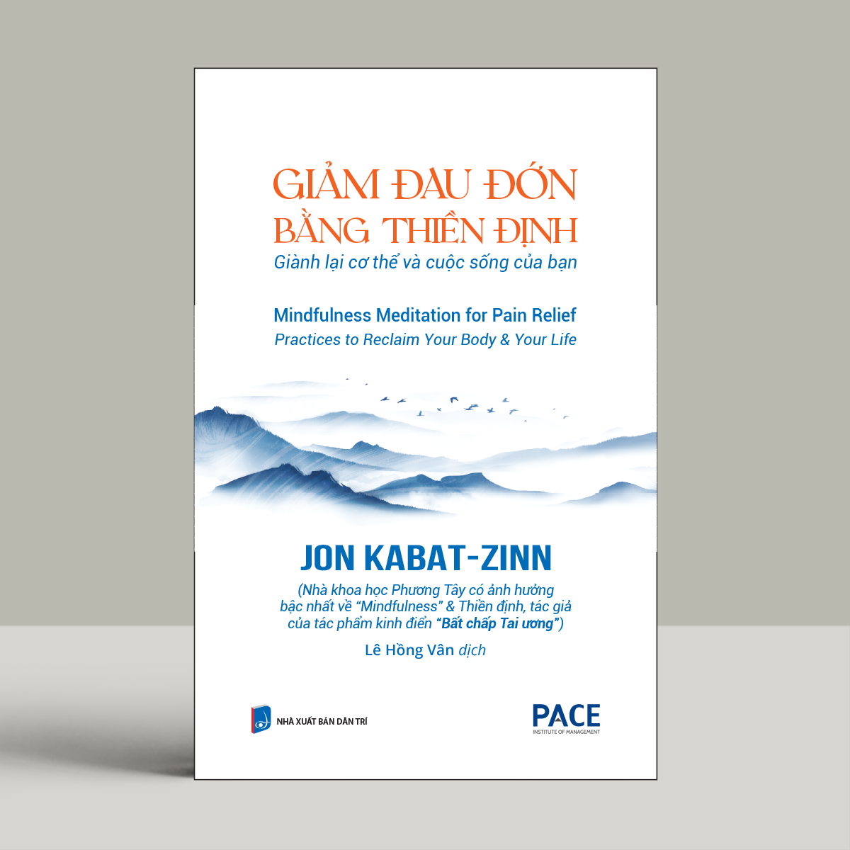 Giam Dau Don Bang Thien Dinh - Mindfulness Meditation For Pain Relief