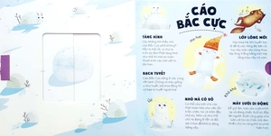 giáo dục đa giác quan - ú òa, rừng rậm và tuyết phủ