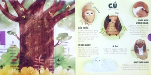 giáo dục đa giác quan - ú òa, rừng rậm và tuyết phủ