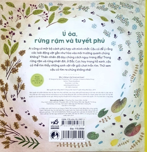 giáo dục đa giác quan - ú òa, rừng rậm và tuyết phủ