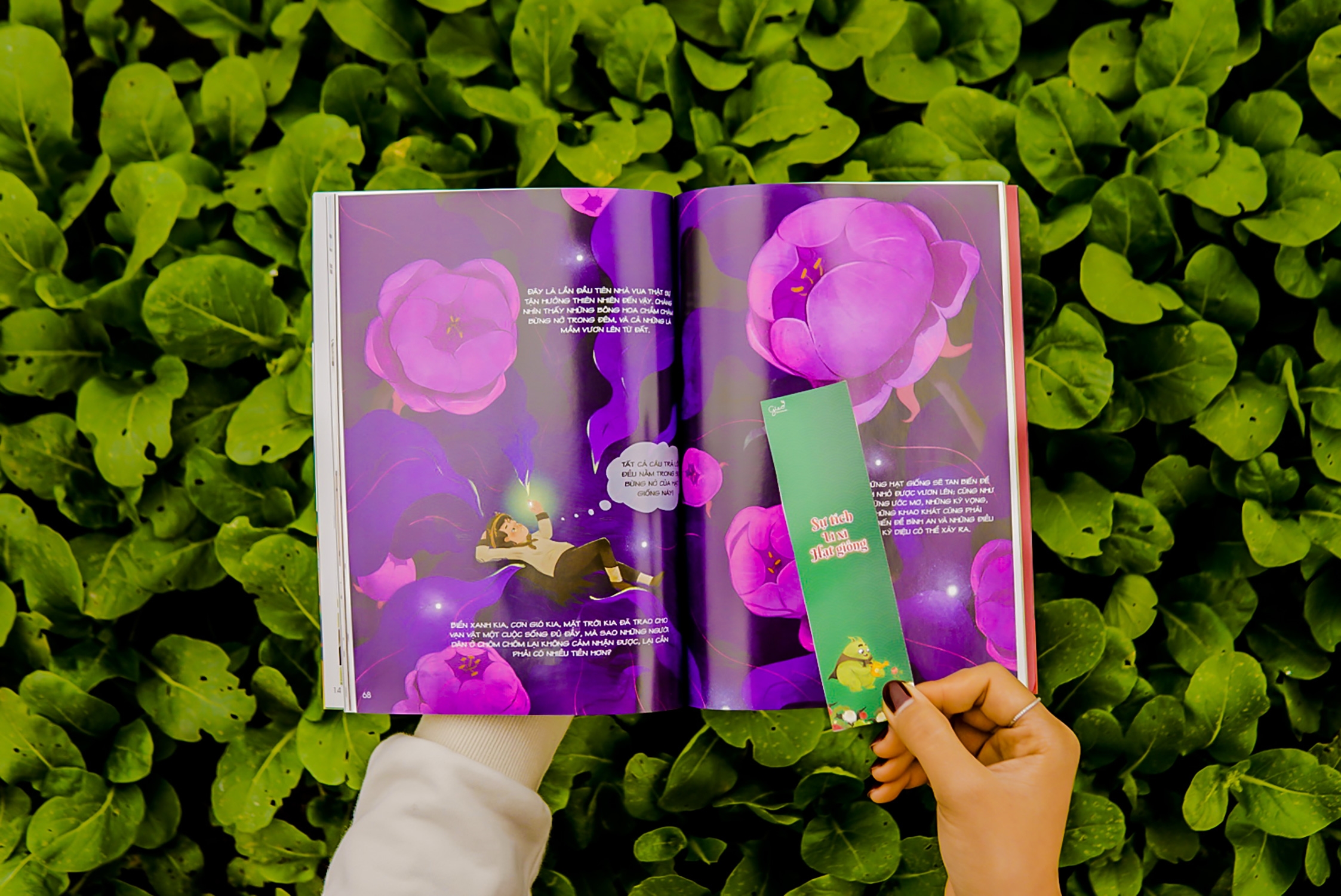 gieo - bộ truyện tranh sự tích lì xì hạt giống