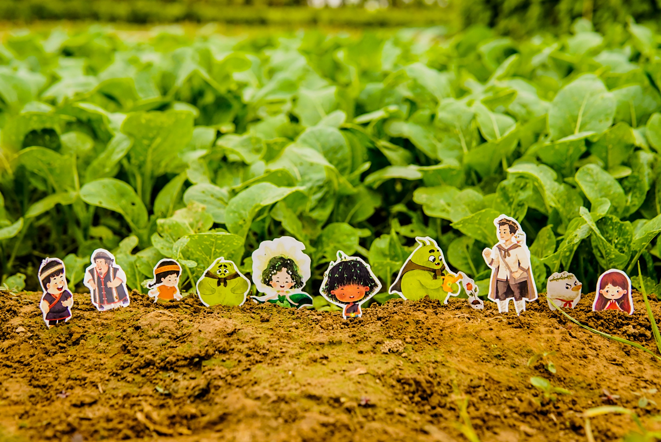 gieo - bộ truyện tranh sự tích lì xì hạt giống