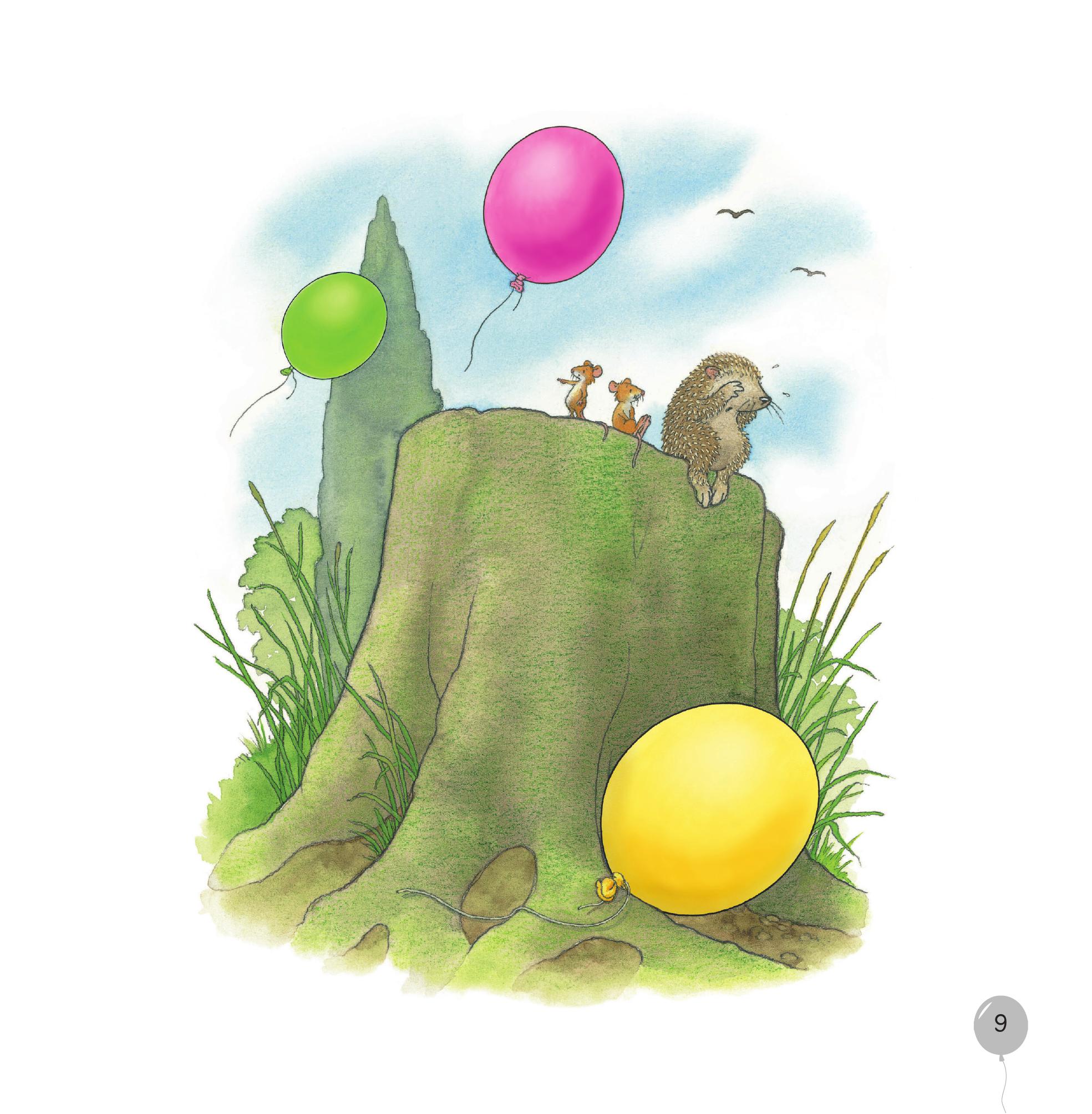 Gieo Mầm Yêu Thương - Bóng Bay Của Nhím