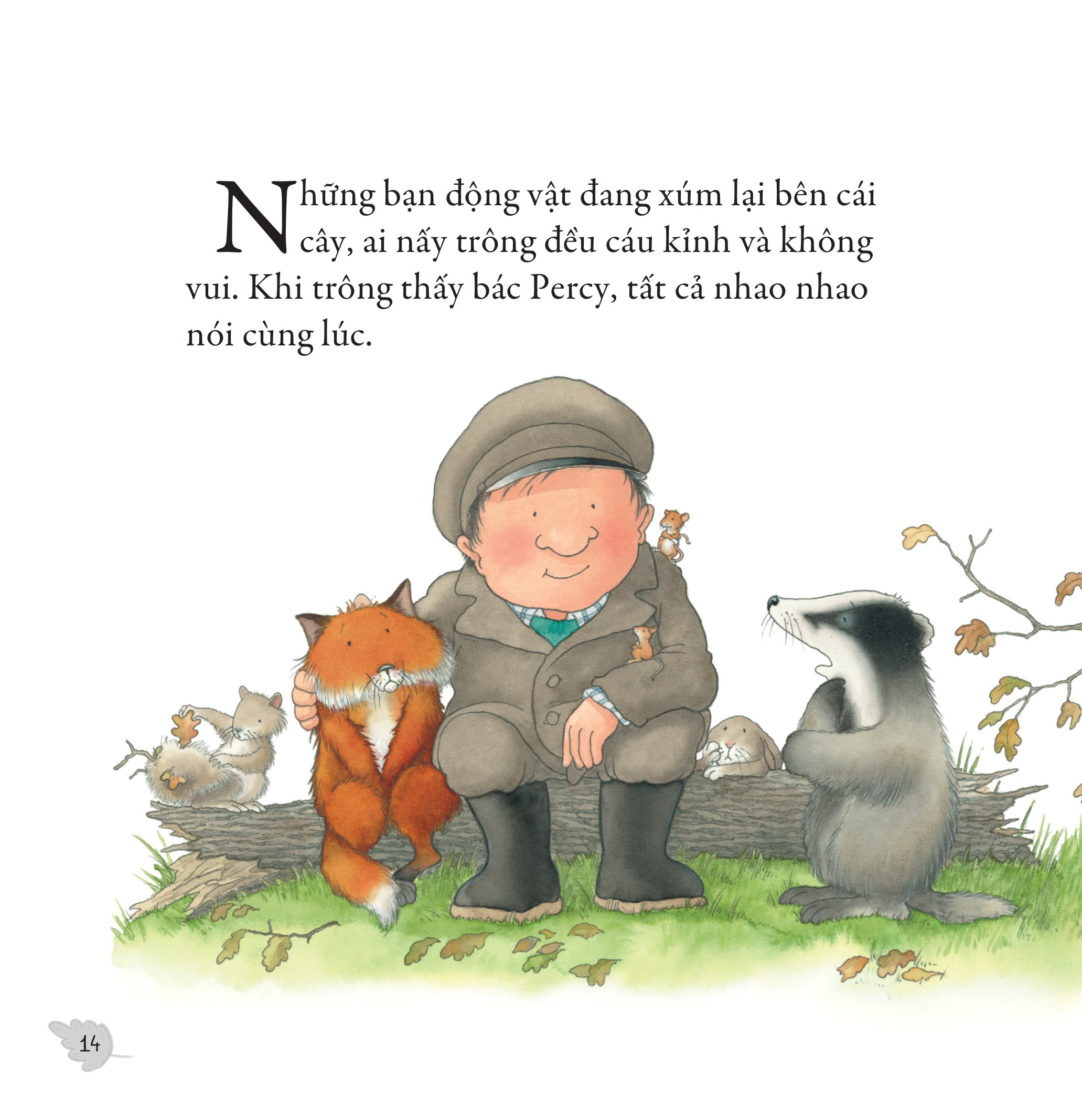 gieo mầm yêu thương - sau cơn bão (dành cho trẻ từ 3-9 tuổi)