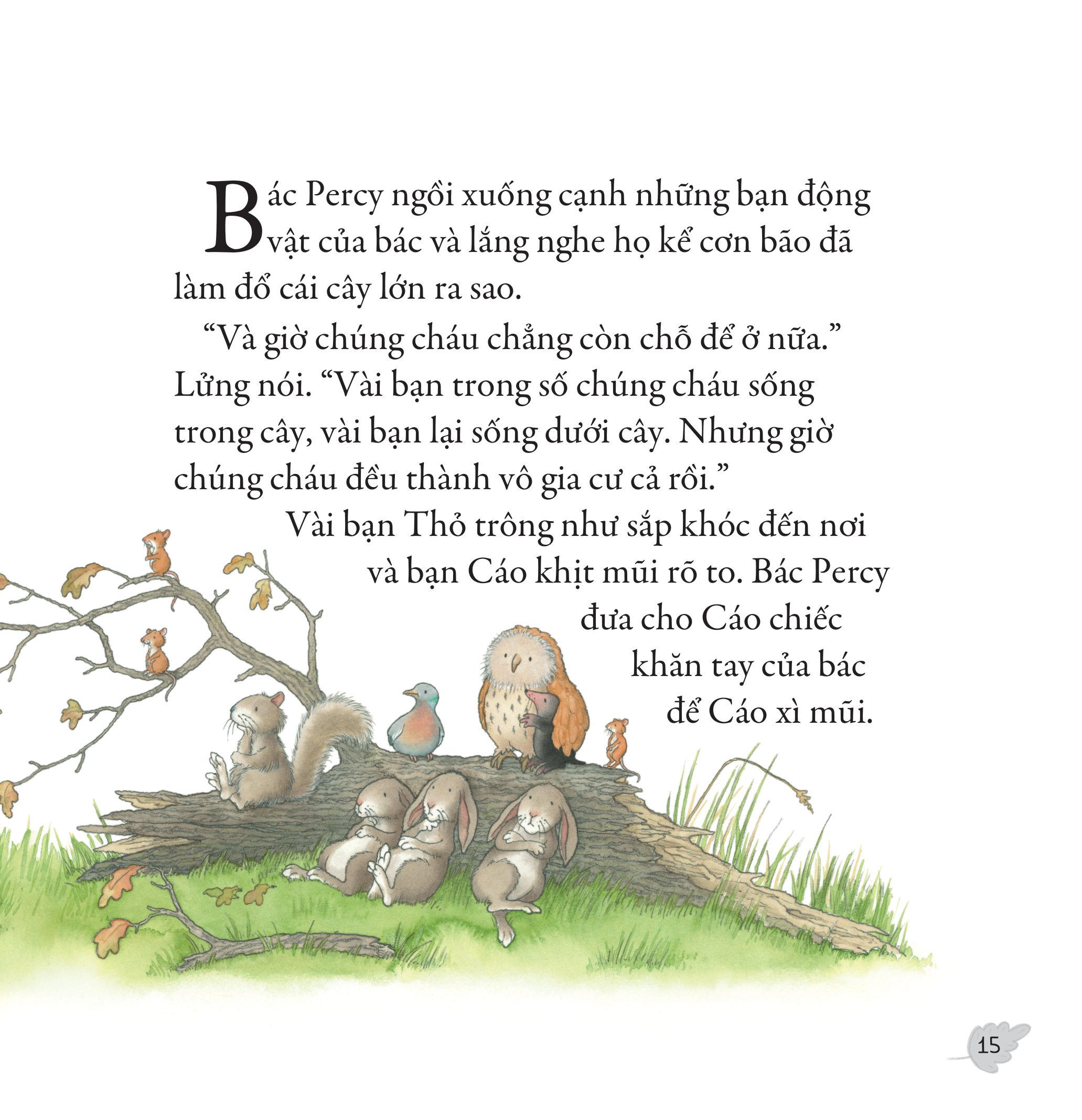 gieo mầm yêu thương - sau cơn bão (dành cho trẻ từ 3-9 tuổi)