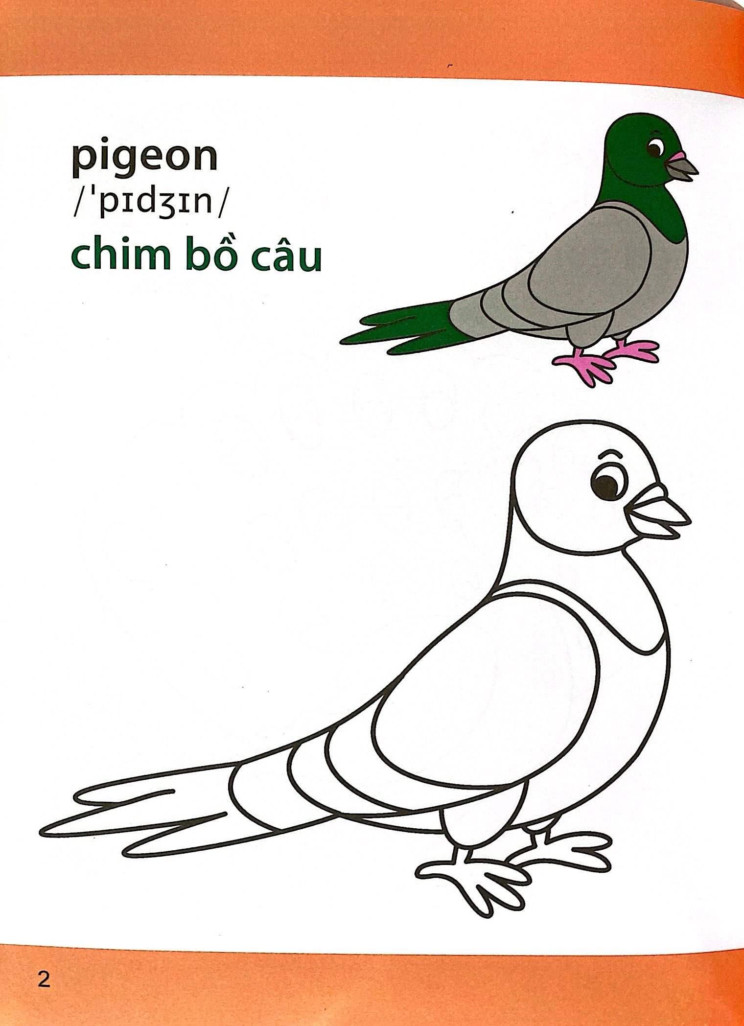 giờ học tô màu của bé - các loài chim (siêu nhân vui nhộn - siêu bổ ích)