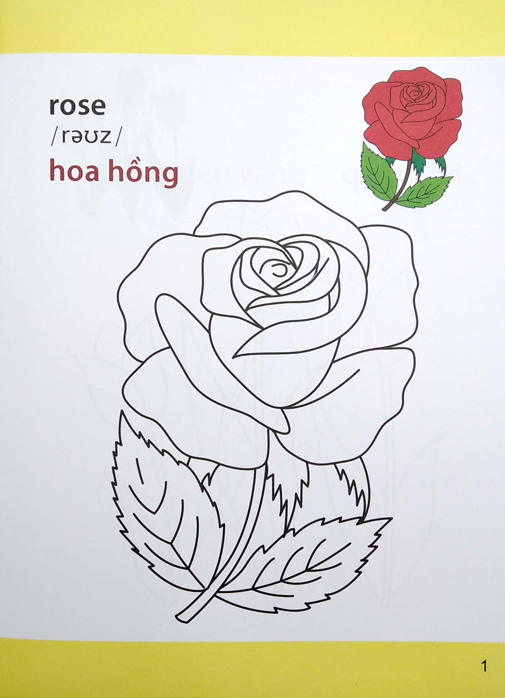 Gio Hoc To Mau Cua Be - Cac Loai Hoa (Sieu Vui Nhon - Sieu Bo Ich)