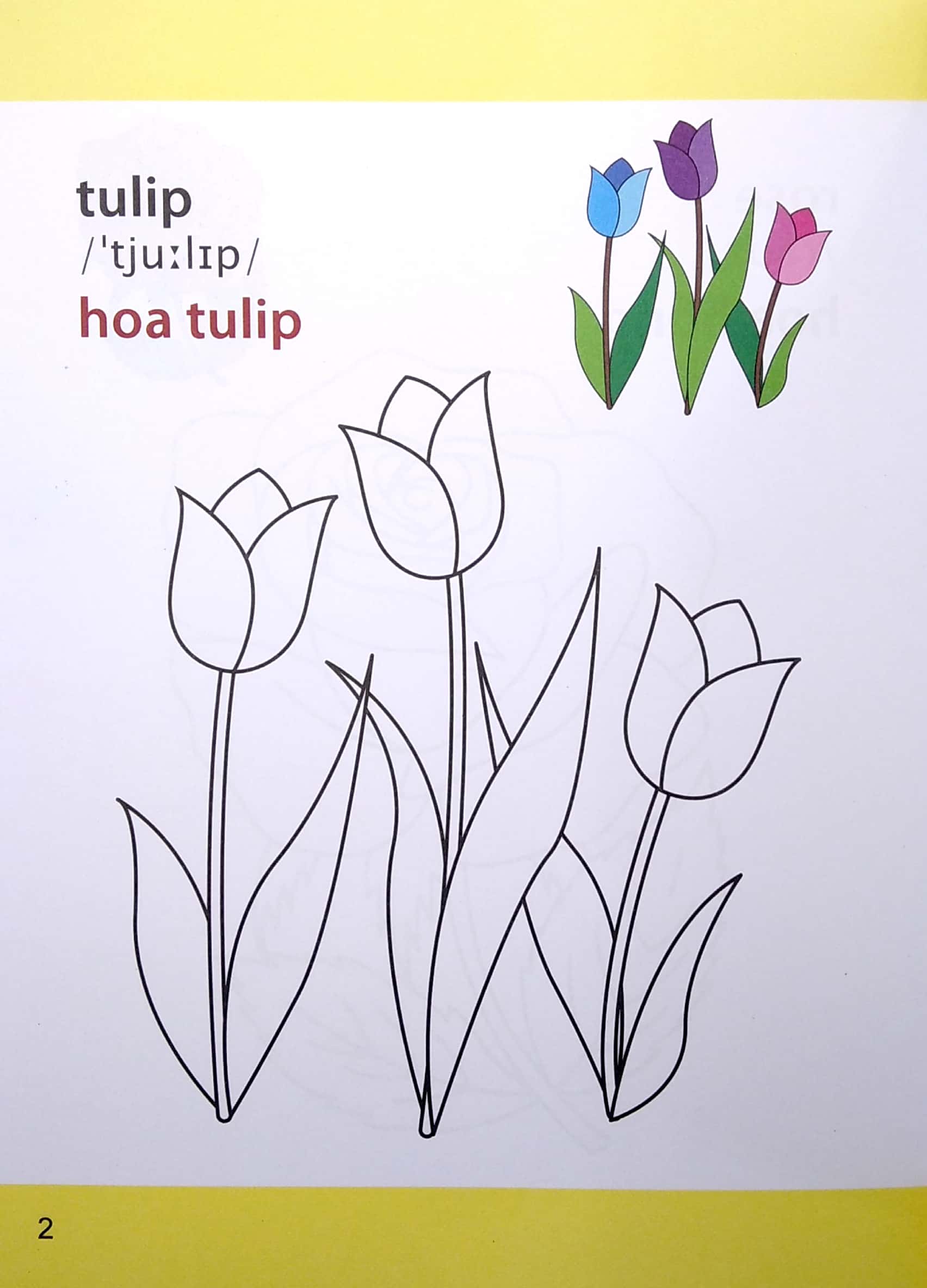 Gio Hoc To Mau Cua Be - Cac Loai Hoa (Sieu Vui Nhon - Sieu Bo Ich)