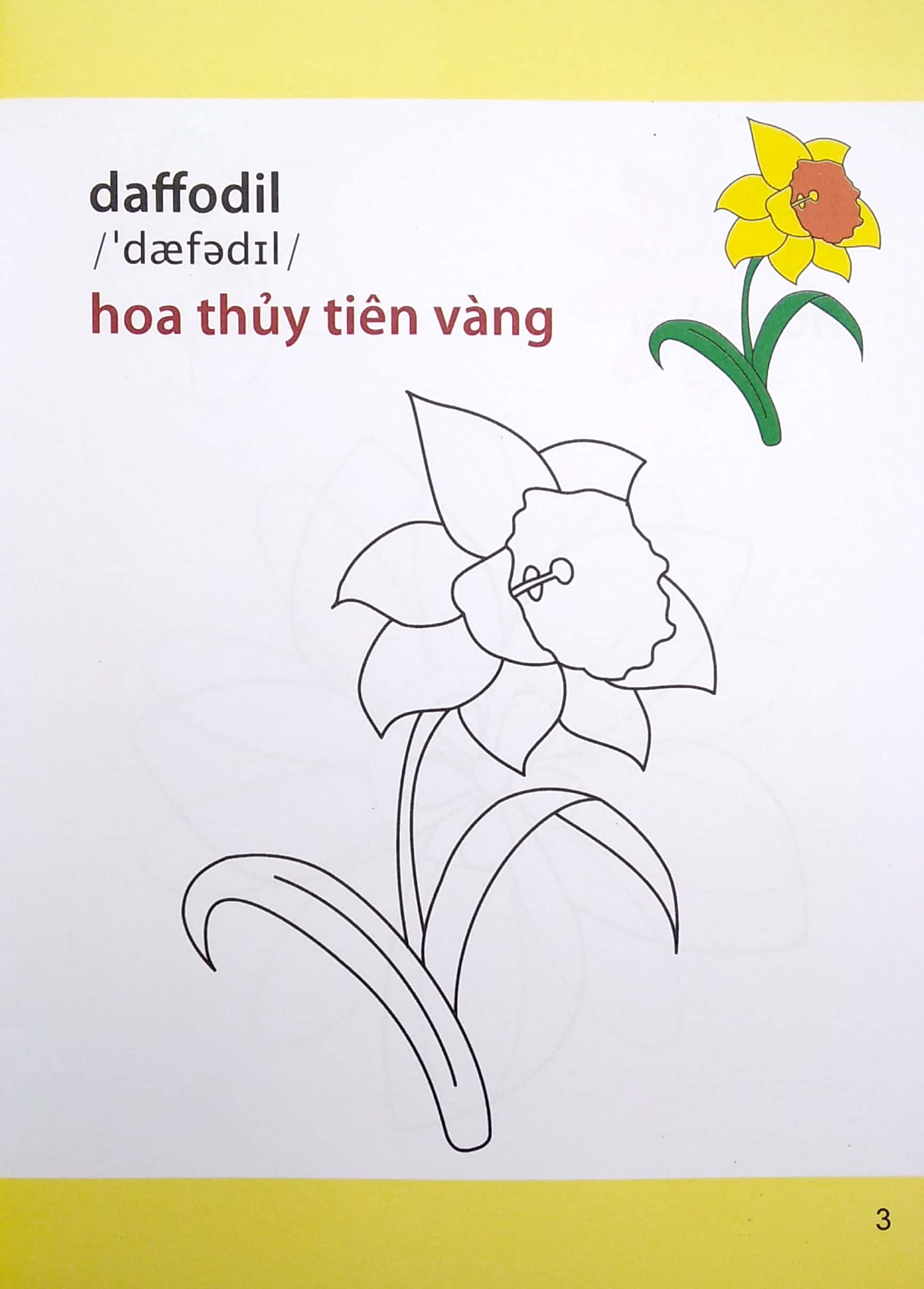 Gio Hoc To Mau Cua Be - Cac Loai Hoa (Sieu Vui Nhon - Sieu Bo Ich)