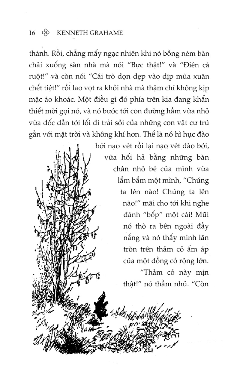 gió qua rặng liễu (tái bản 2019)