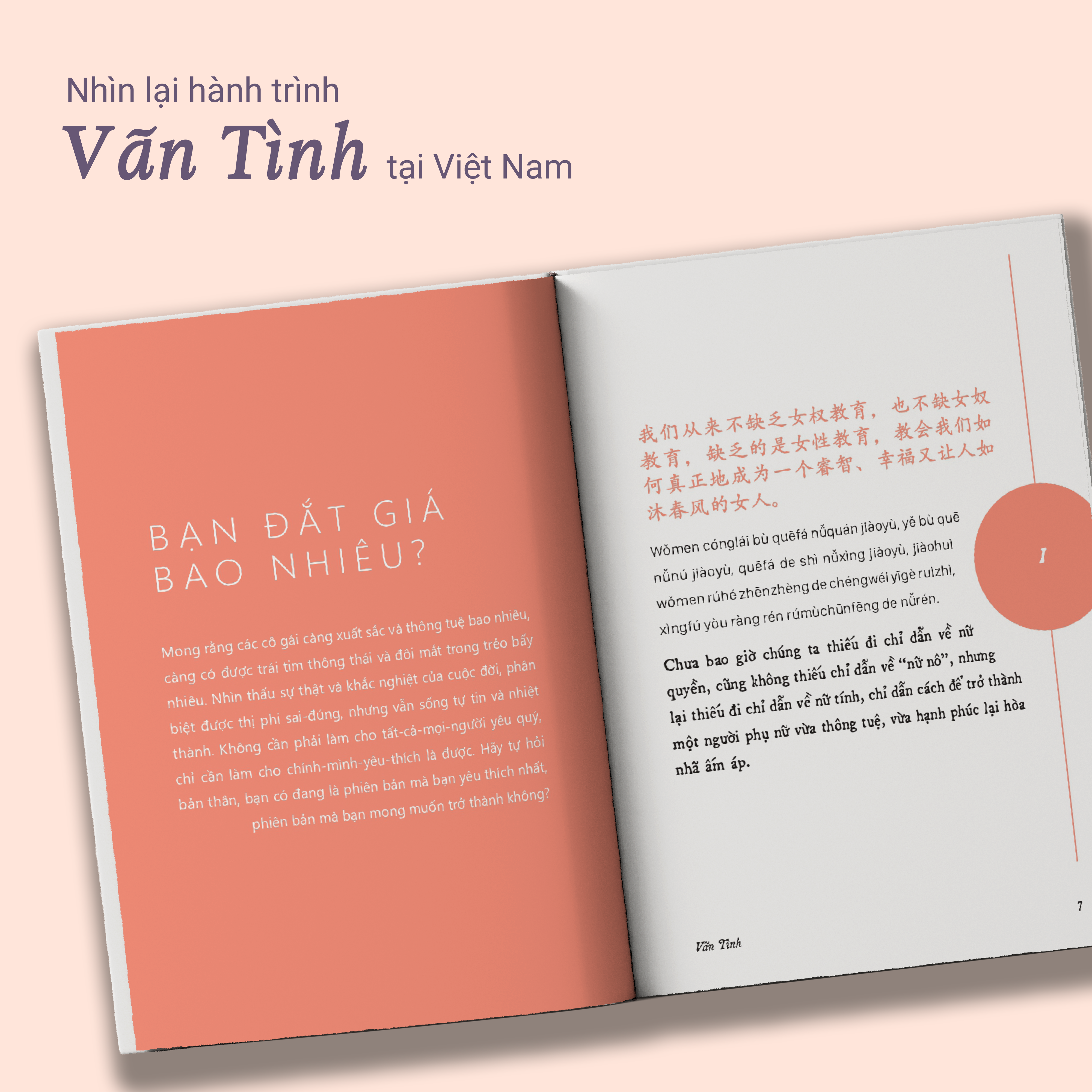 giữa muôn vàn ngã rẽ của cuộc đời, tôi vẫn chọn làm một người kiêu hãnh - phiên bản song ngữ trung-việt