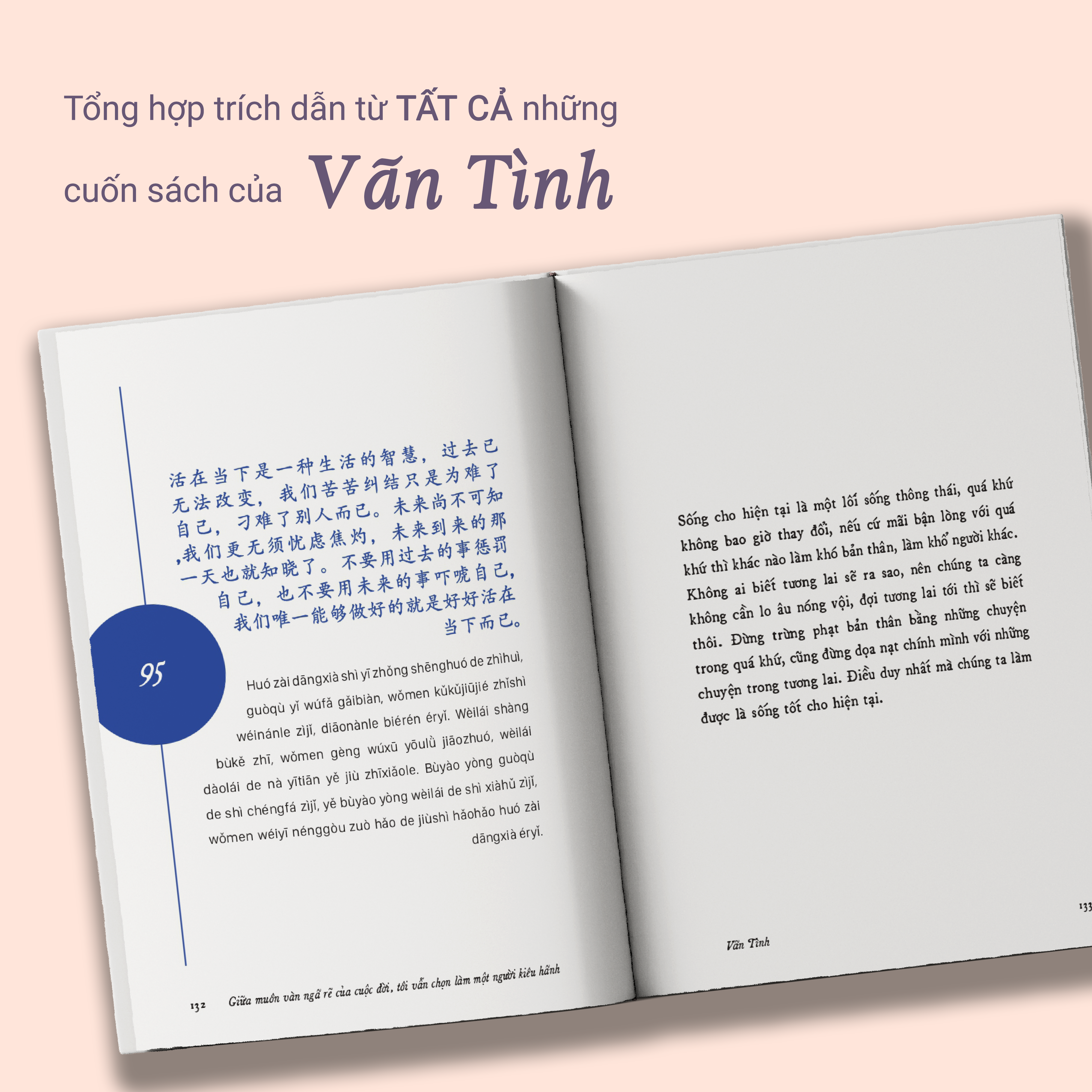 giữa muôn vàn ngã rẽ của cuộc đời, tôi vẫn chọn làm một người kiêu hãnh - phiên bản song ngữ trung-việt