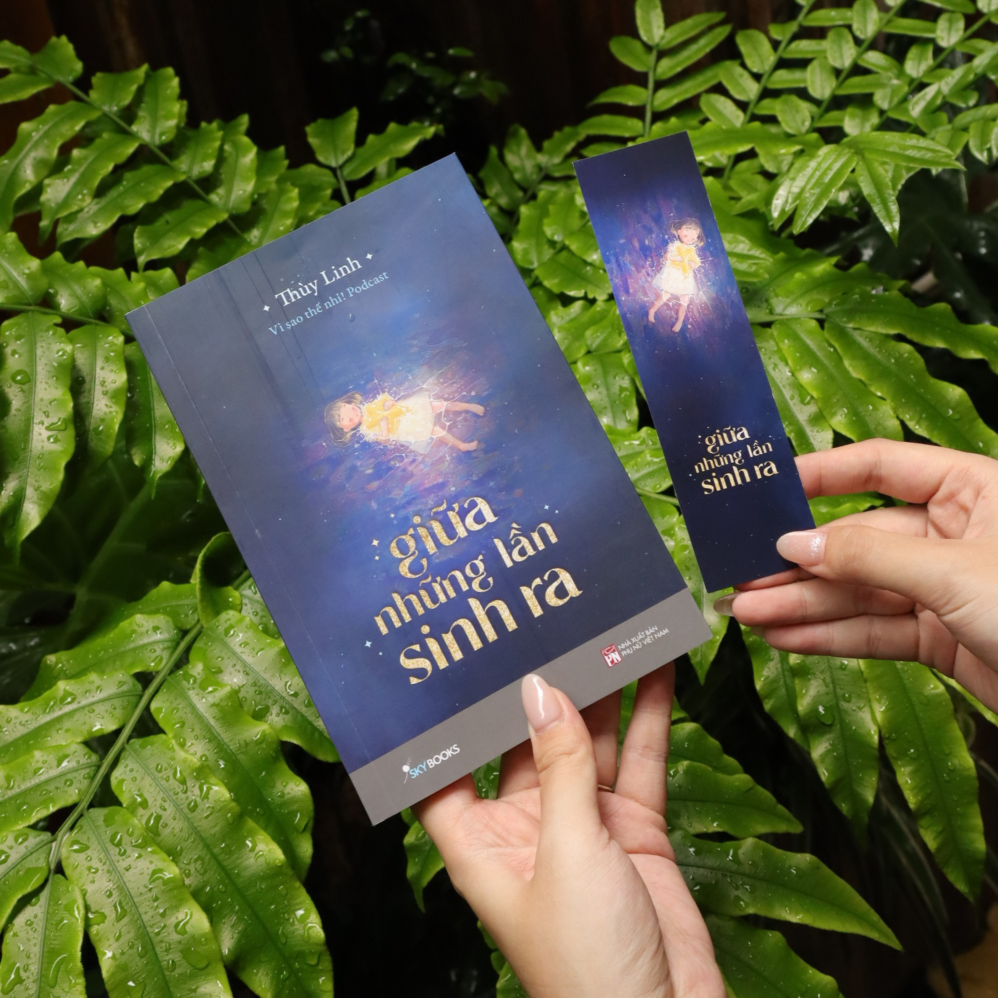 Giua Nhung Lan Sinh Ra