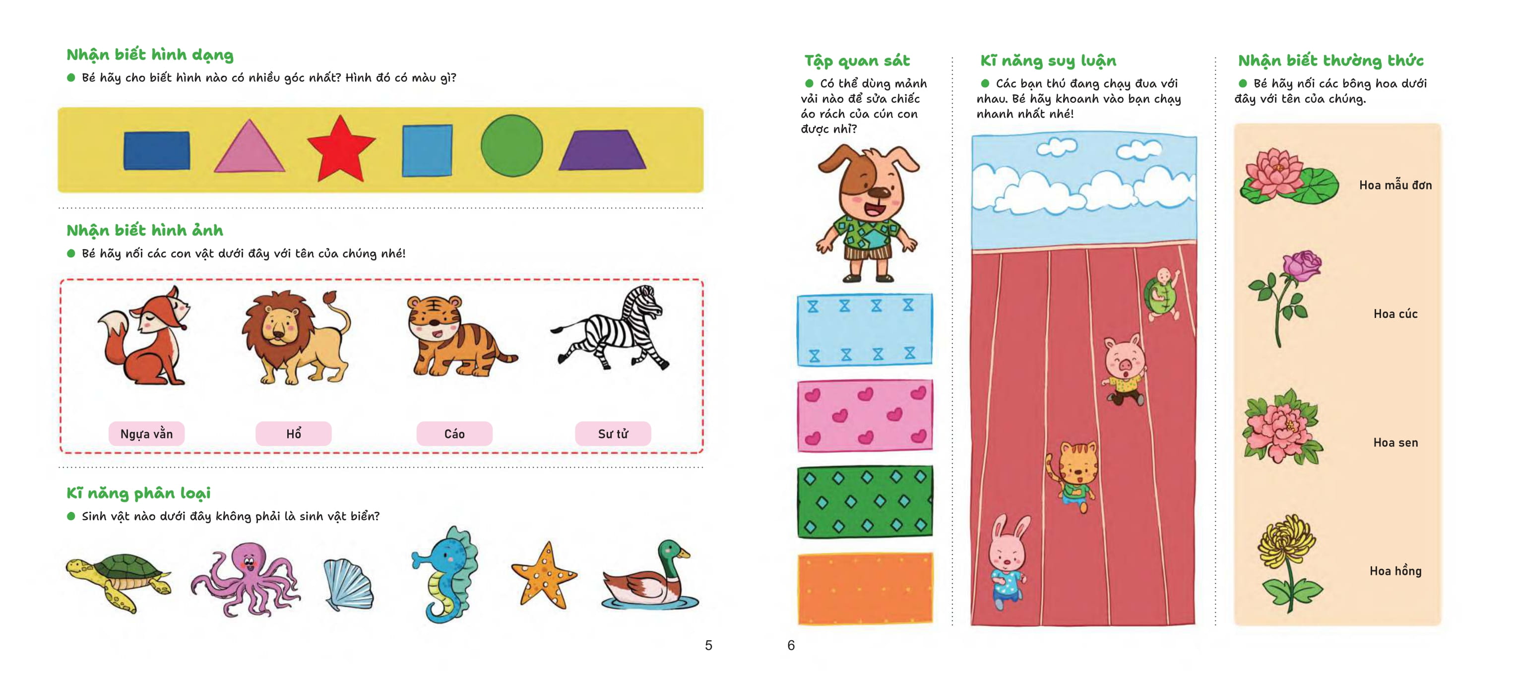 Giup Be Ren Luyen Tu Duy Qua 1600 Cau Do - Cang Choi Cang Thong Minh - 5-6 Tuoi