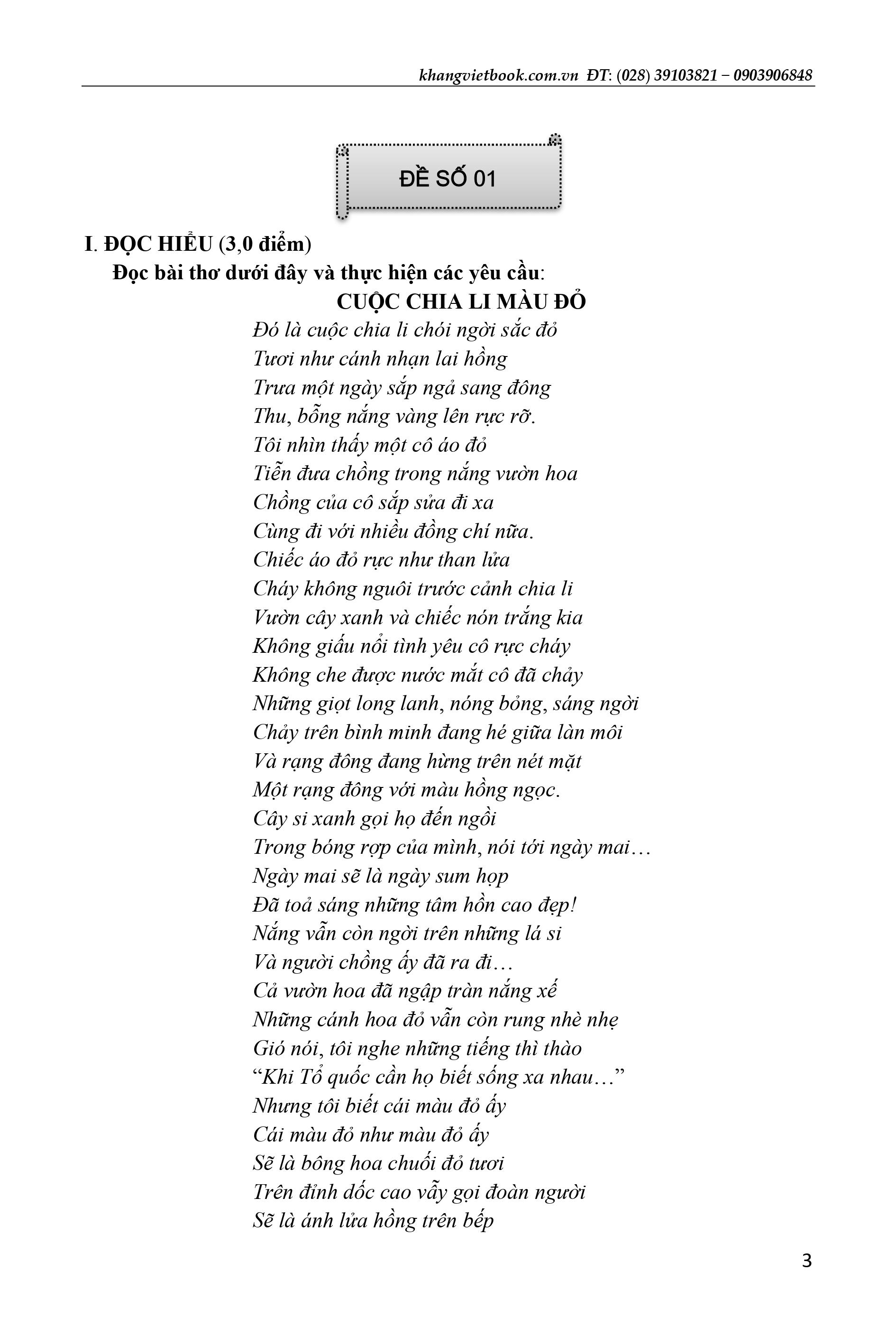 giúp em chinh phục kì thi vào lớp 10 môn ngữ văn