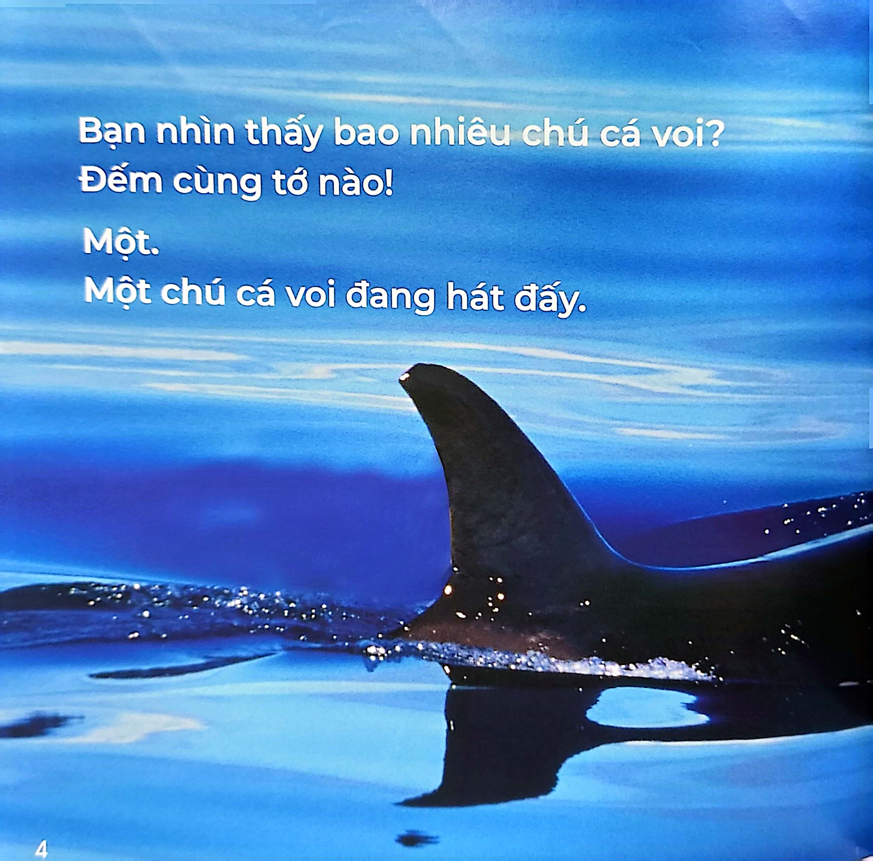 gõ cửa thiên nhiên - bài ca biển cả - học đếm - the song from the sea