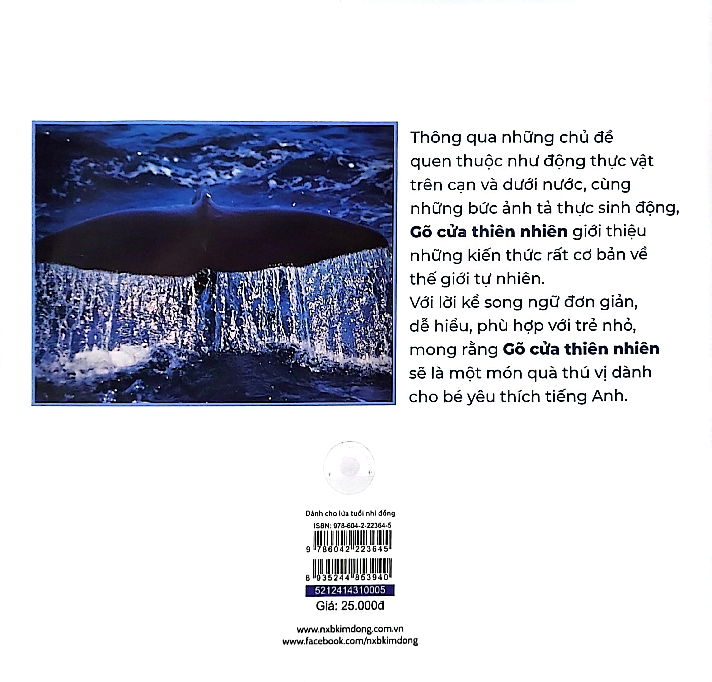 gõ cửa thiên nhiên - bài ca biển cả - học đếm - the song from the sea