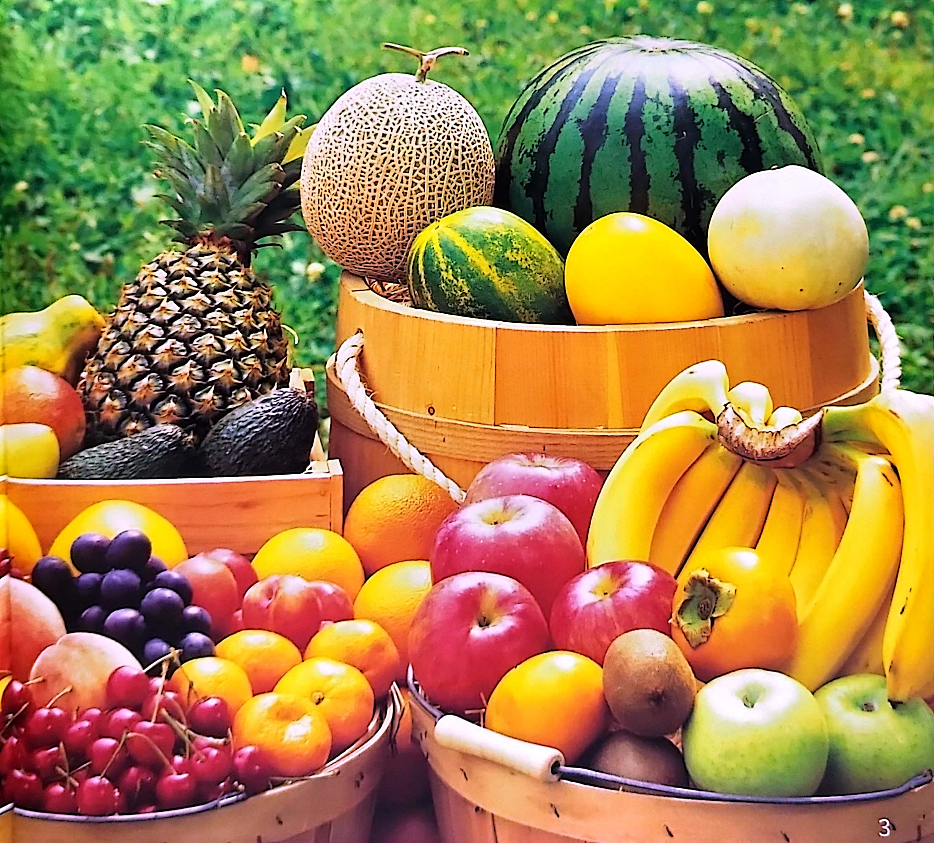 gõ cửa thiên nhiên - hoa quả thật thú vị - rèn trí tưởng tượng - fruits are interesting