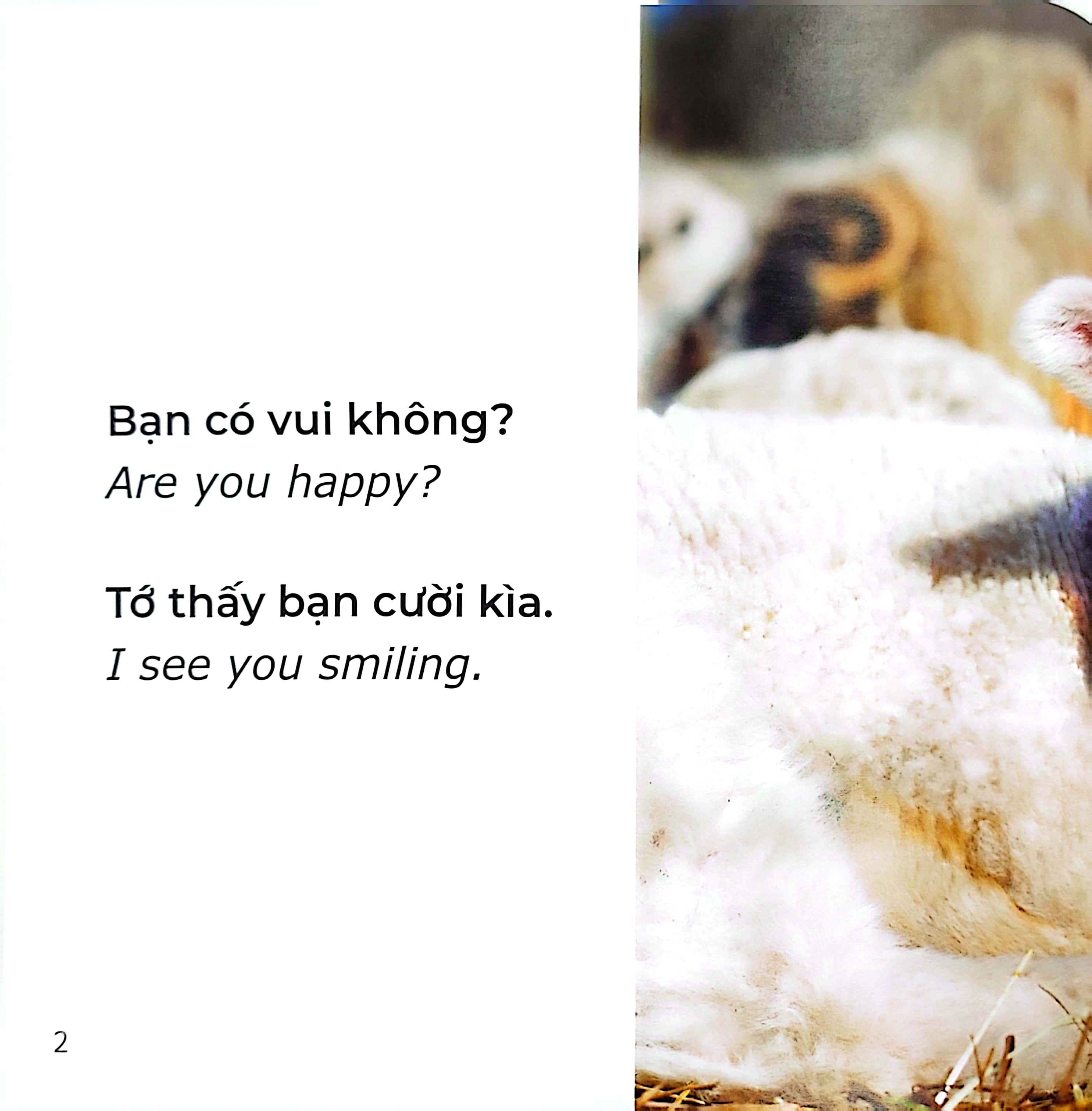 gõ cửa thiên nhiên - những gương mặt xinh - cảm xúc - faces