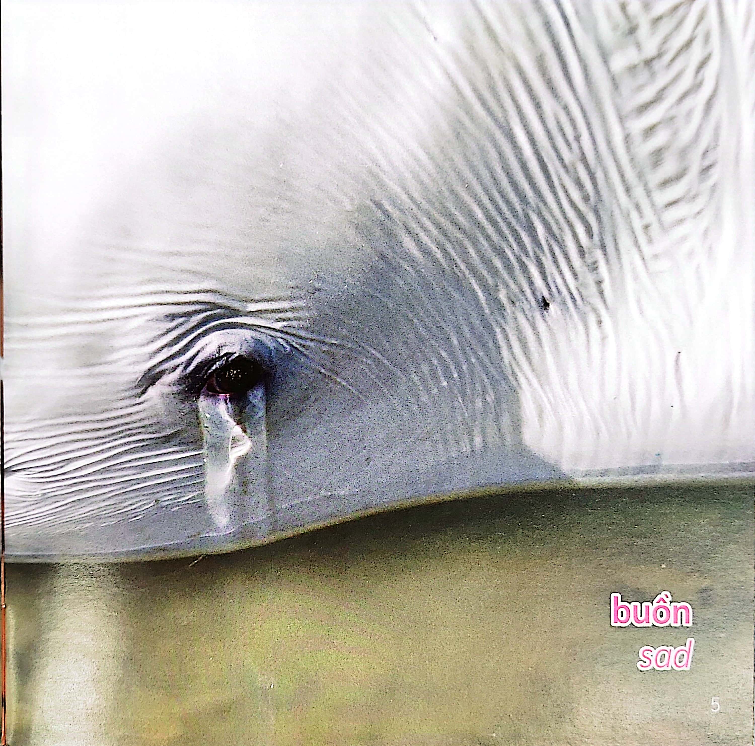 gõ cửa thiên nhiên - những gương mặt xinh - cảm xúc - faces