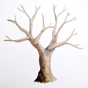 gõ nhẹ vào thân cây diệu kỳ (tái bản 2022)