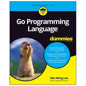 go programming language for dummies
