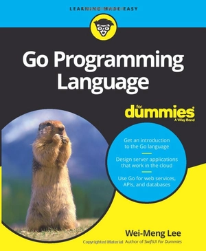 go programming language for dummies