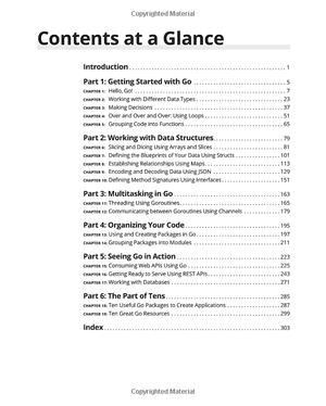 go programming language for dummies