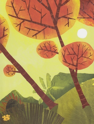 góc sân và khoảng trời - mang biển về quê