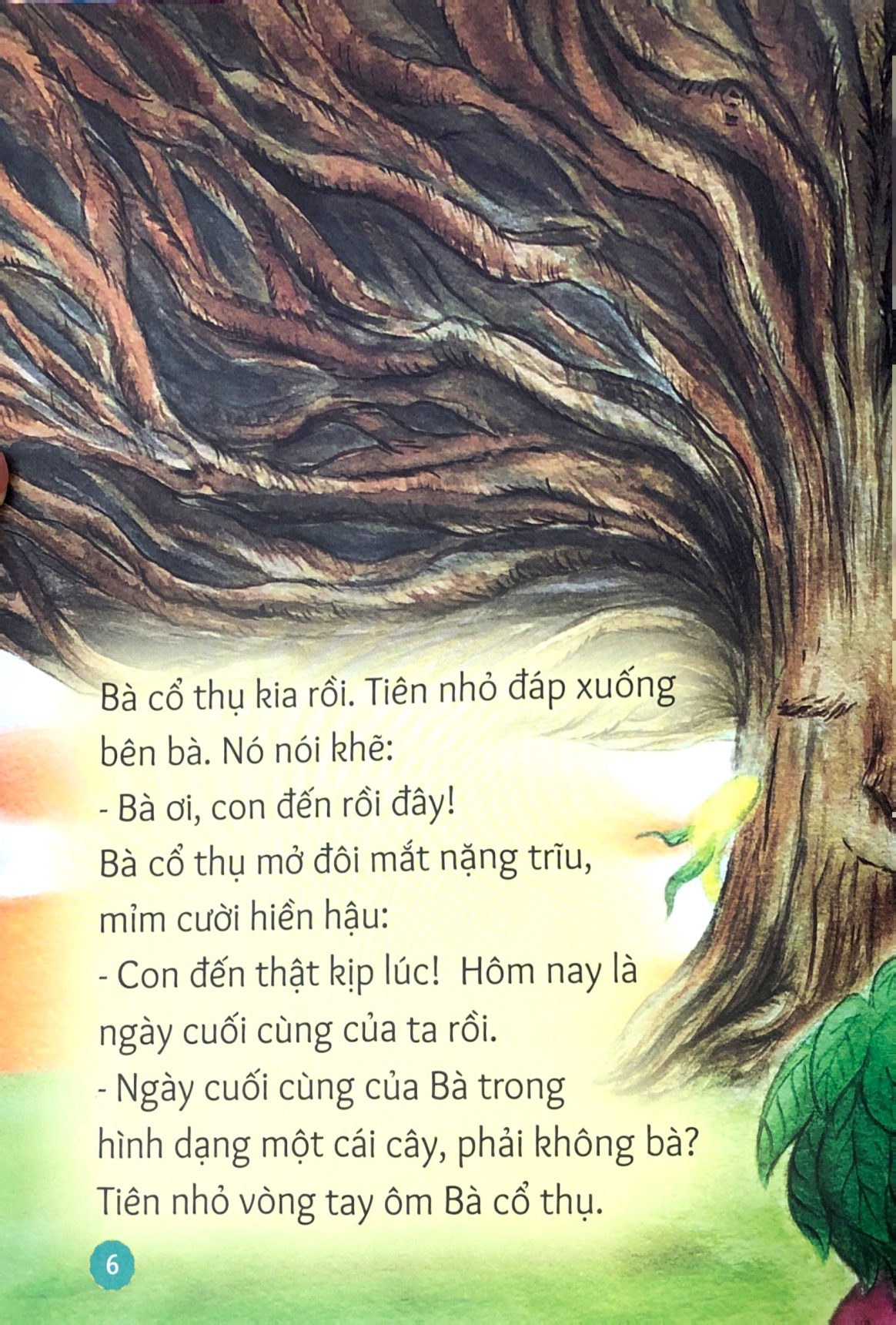 gợi mở trí tưởng tượng - chuyện kể cuối của bà cổ thụ - bài học để học yêu thương cây cối