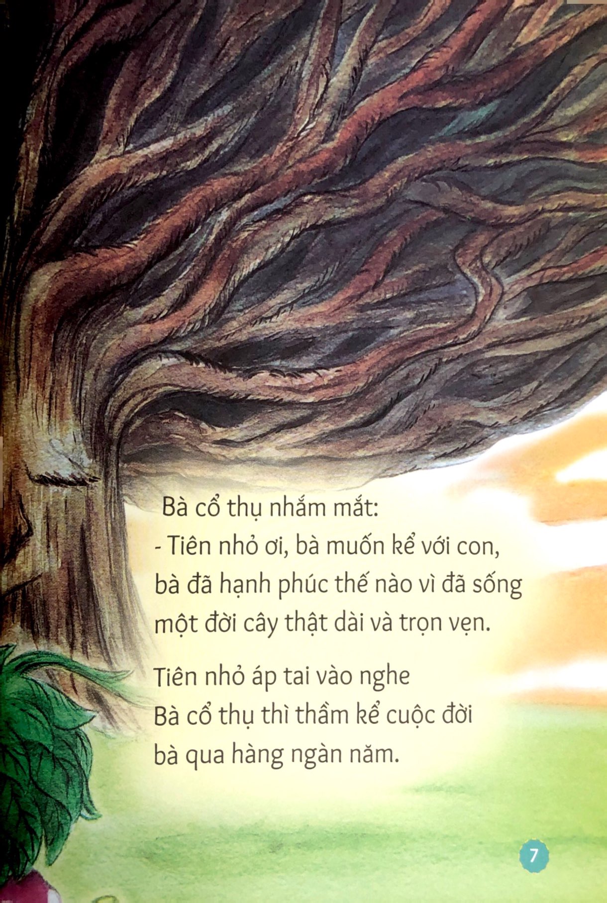 gợi mở trí tưởng tượng - chuyện kể cuối của bà cổ thụ - bài học để học yêu thương cây cối