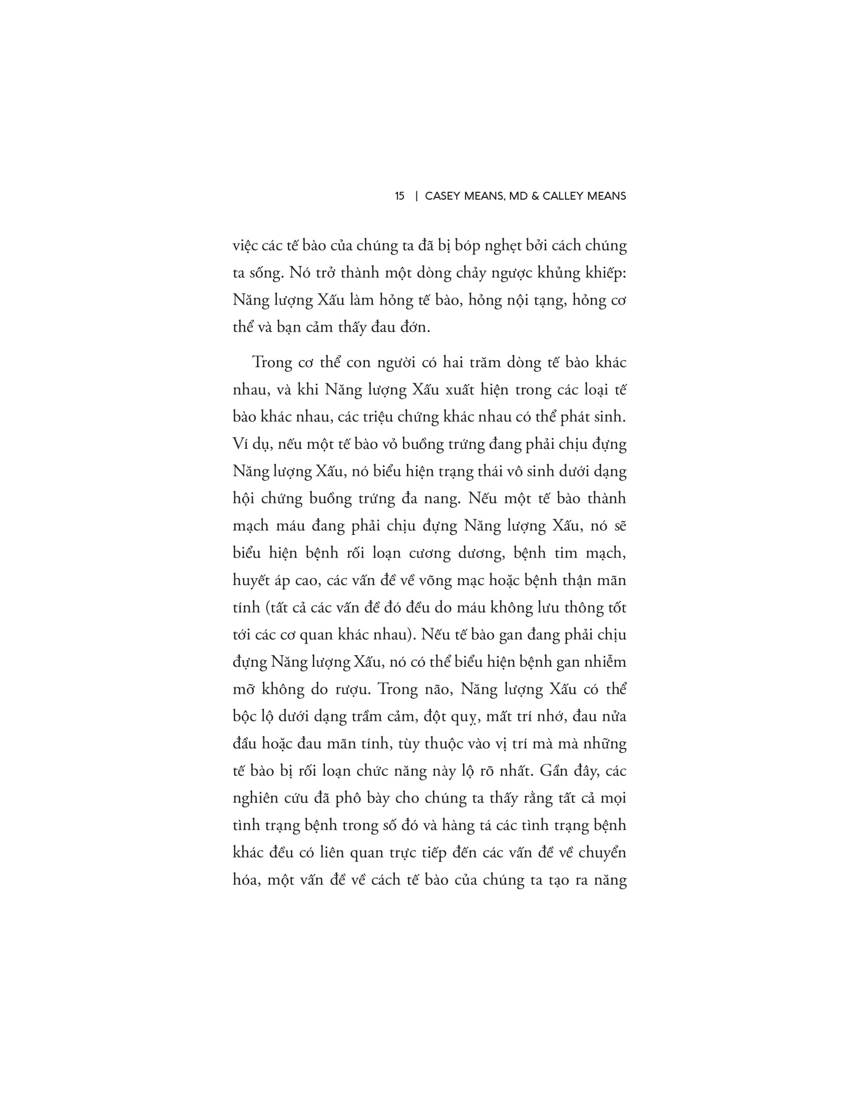 Good Energy - Nang Luong Tot