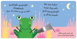 goodnight frog (a magic torch books)